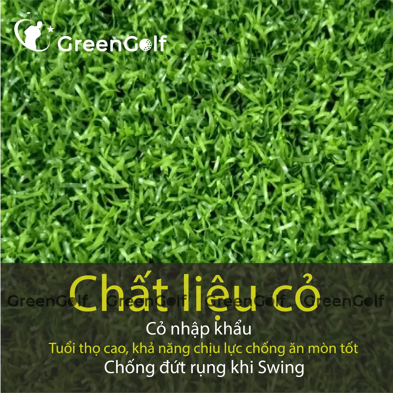 Thảm Tập Swing Golf 2D 1,5 x 1,5M - TTS1515